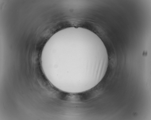 X0000111920221200908241059