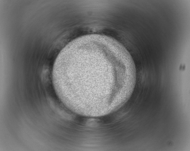 X0000111920222200908241059