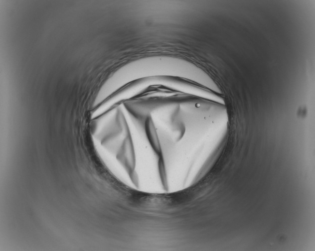 X0000111920223200908241059