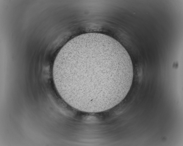 X0000111920224200908241059