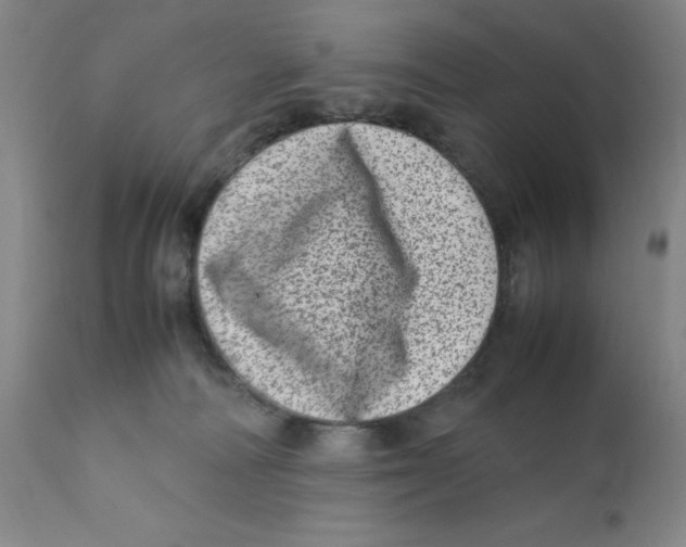 X0000111920226200908241059