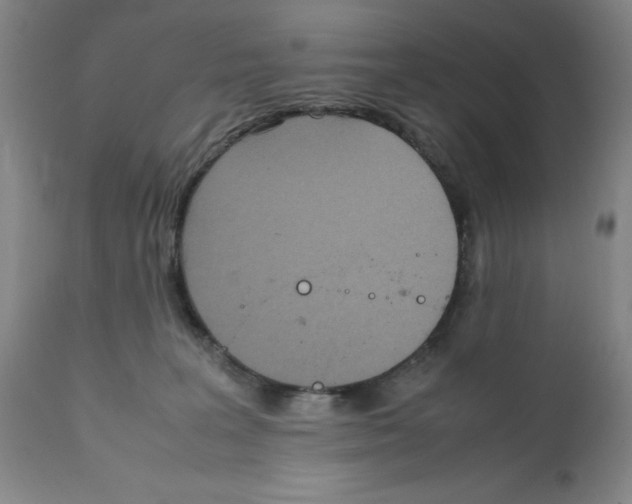 X0000111920227200908241059