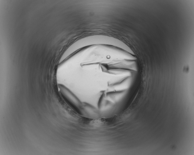 X0000111920231200908241059