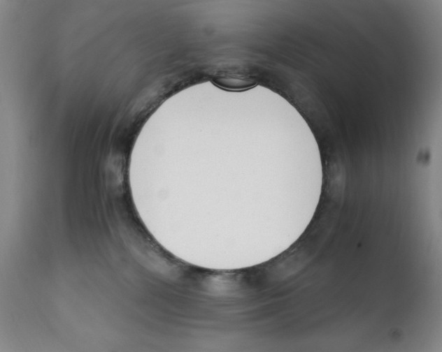 X0000111920232200908241059