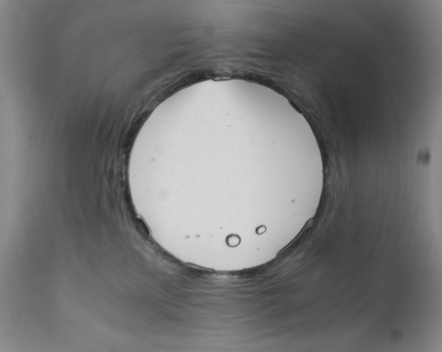 X0000111920233200908241058