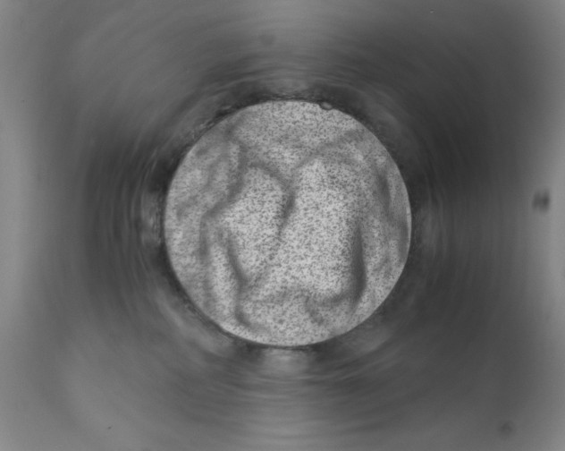 X0000111920234200908241058