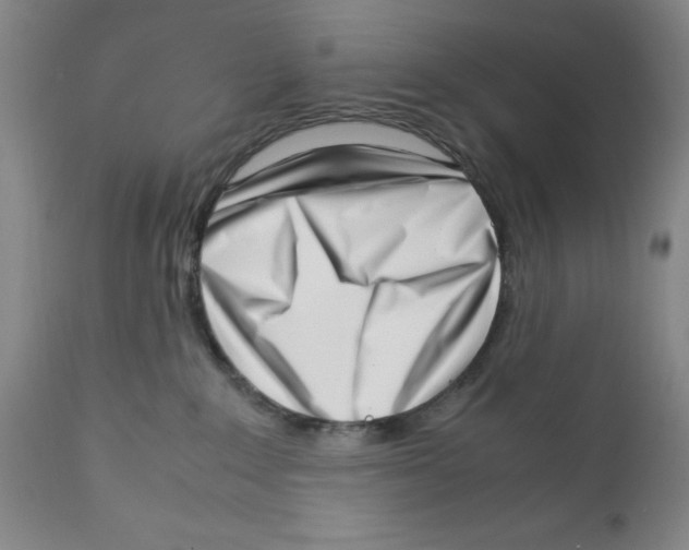 X0000111920235200908241058