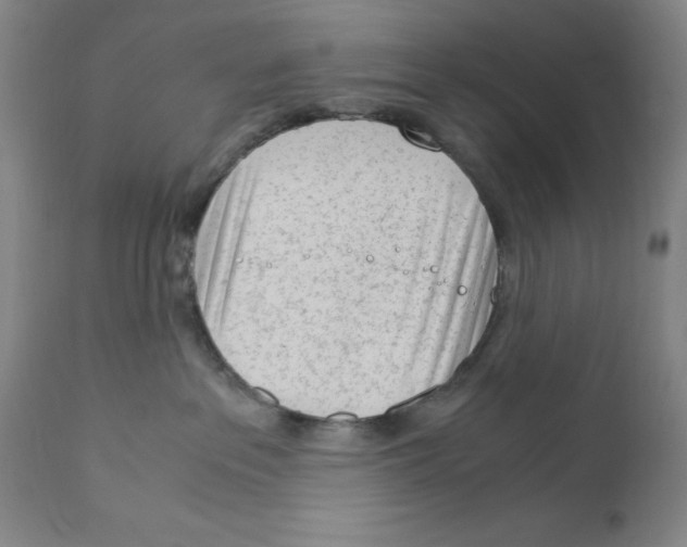 X0000111920237200908241058