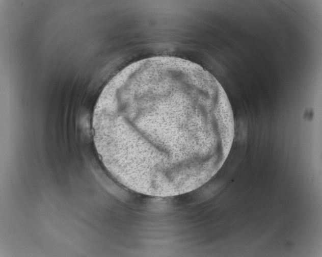 X0000111920238200908241058