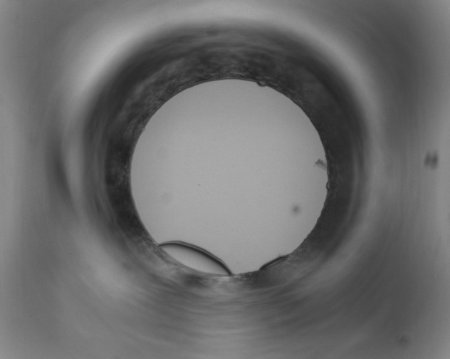 X0000111920239200908241058