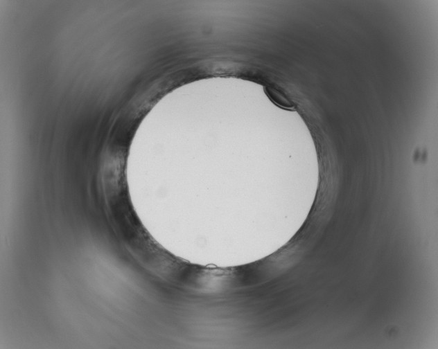 X0000111920240200908241058