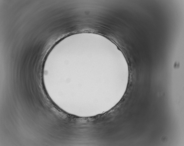 X0000111920241200908241058