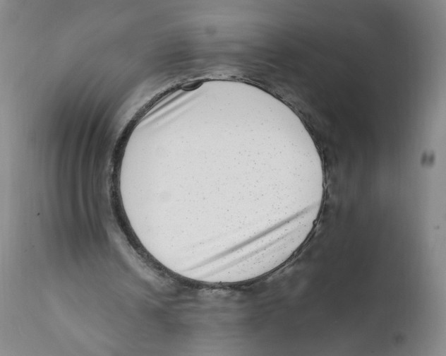 X0000111920242200908241058