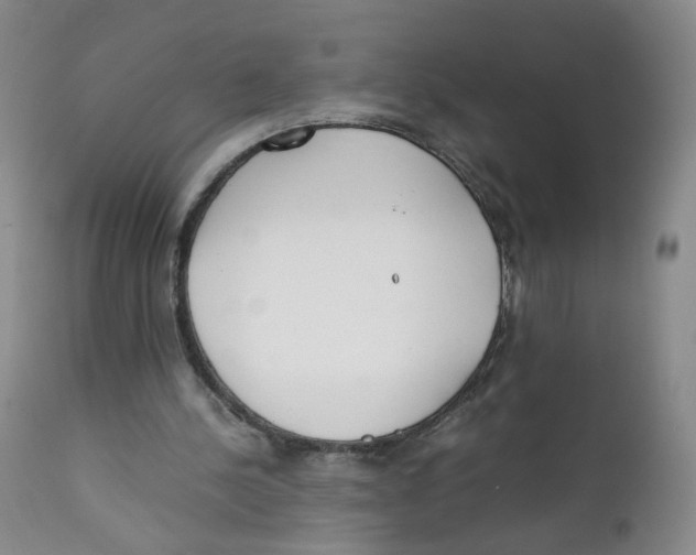 X0000111920244200908241058