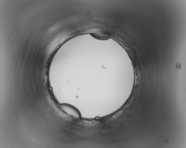 X0000111920245200908241058