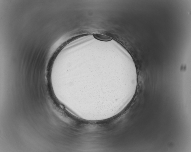 X0000111920246200908241058