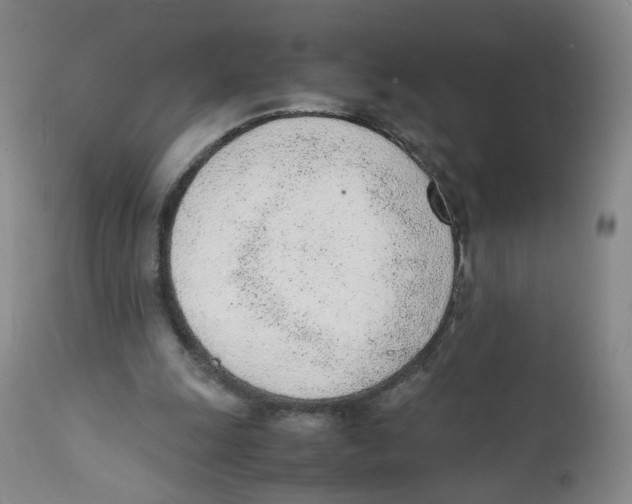 X0000111920247200908241058