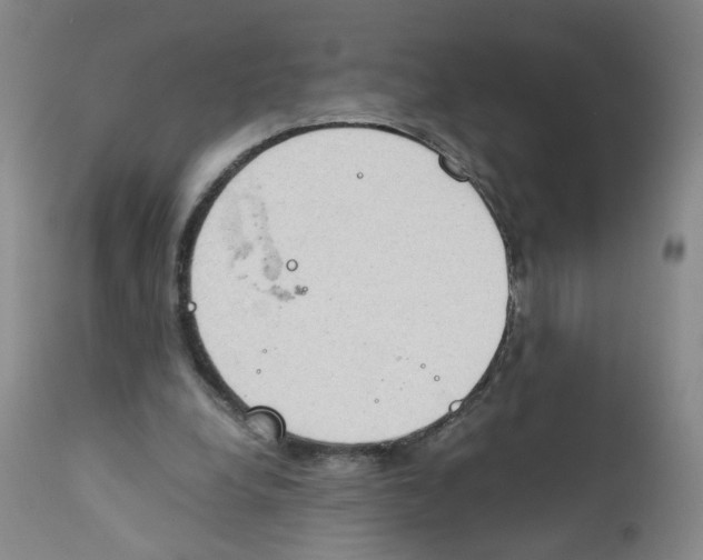 X0000111920248200908241058