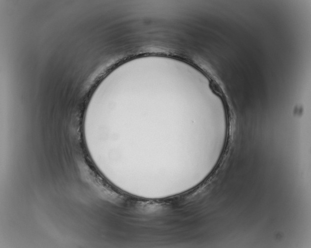 X0000111920249200908241058