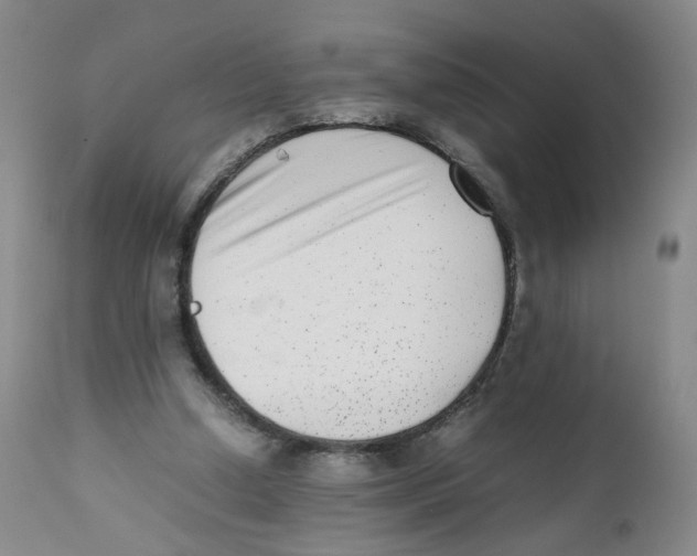 X0000111920250200908241058