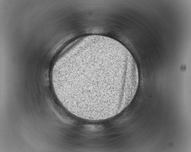 X0000111920251200908241058