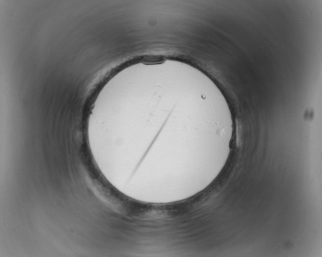 X0000111920252200908241058