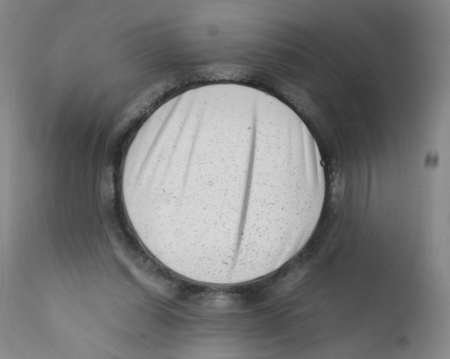 X0000111920254200908241058