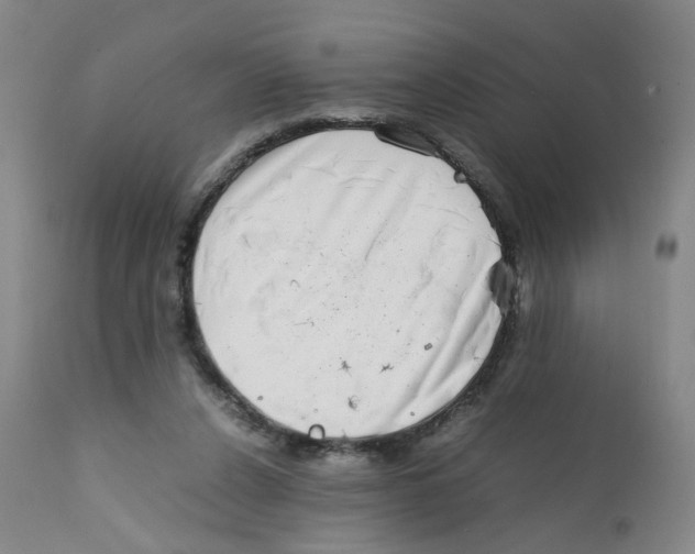 X0000111920256200908241058