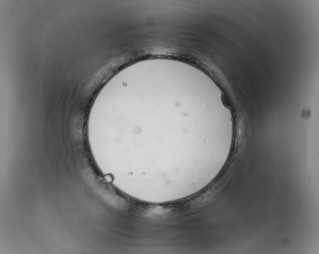 X0000111920257200908241058