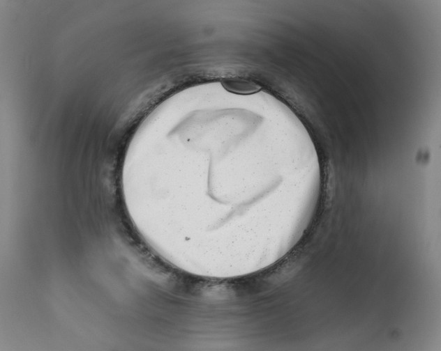 X0000111920258200908241058