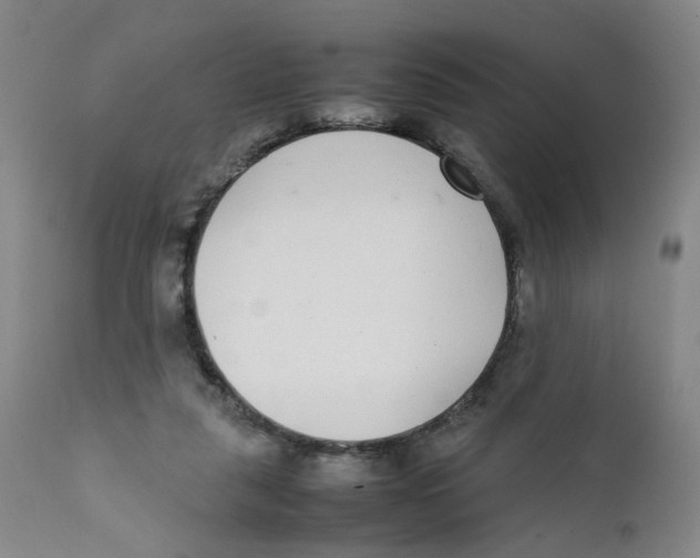 X0000111920259200908241058