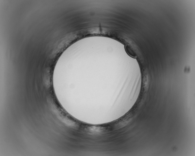 X0000111920261200908241058