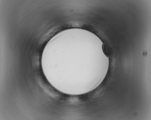 X0000111920262200908241058