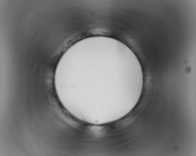 X0000111920265200908241058