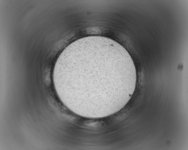 X0000111920267200908241058