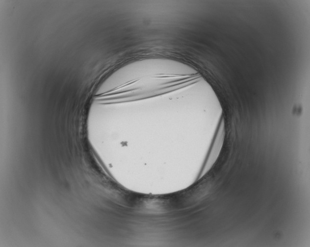 X0000111920268200908241058