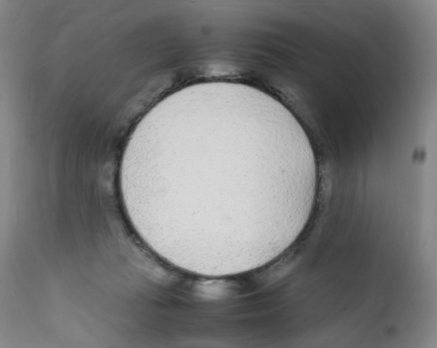 X0000111920269200908241058