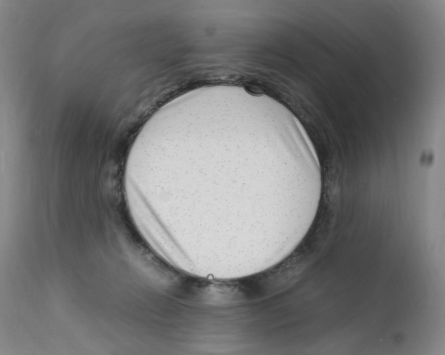 X0000111920270200908241058