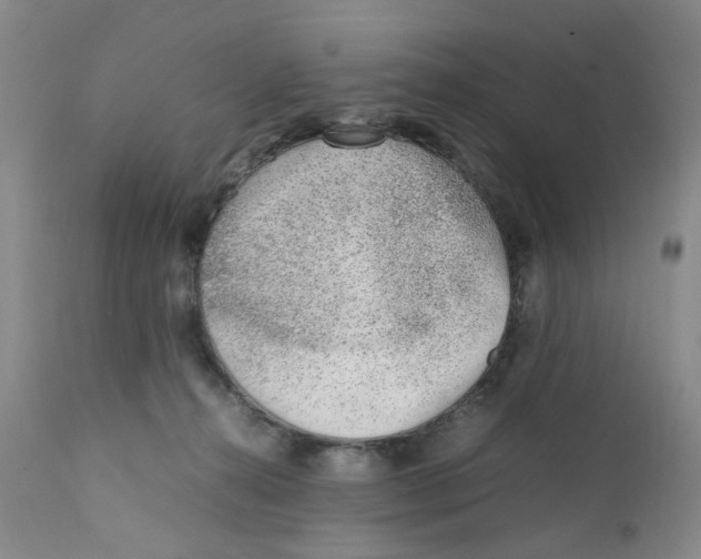 X0000111920272200908241058