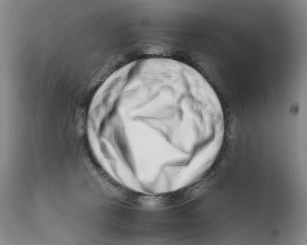 X0000111920273200908241058