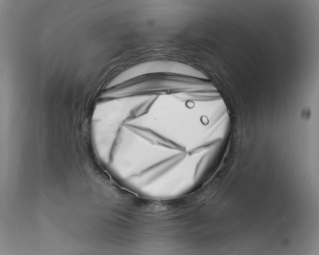 X0000111920276200908241058