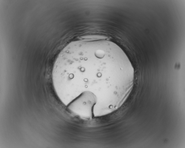 X0000111920277200908241058