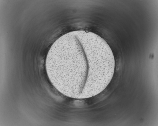 X0000111920279200908241058