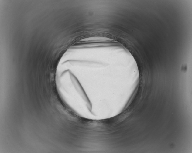 X0000111920284200908241058