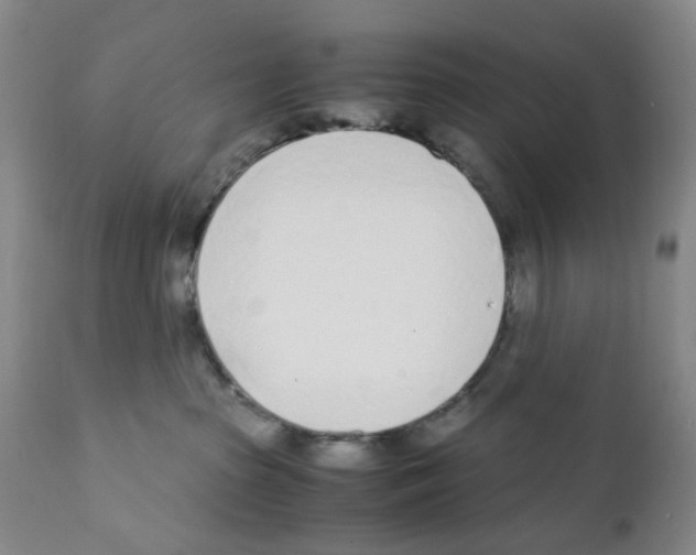 X0000111920285200908241058