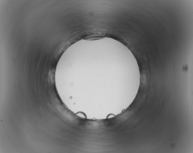 X0000111920286200908241058