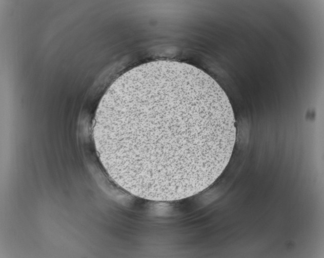 X0000111920287200908241058