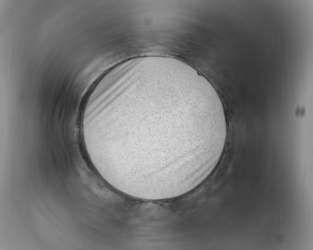 X0000111920290200908241058