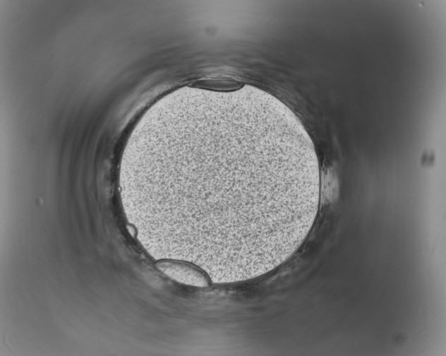 X0000111920291200908241058