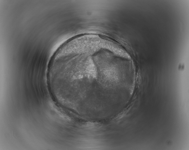 X0000111920292200908241058